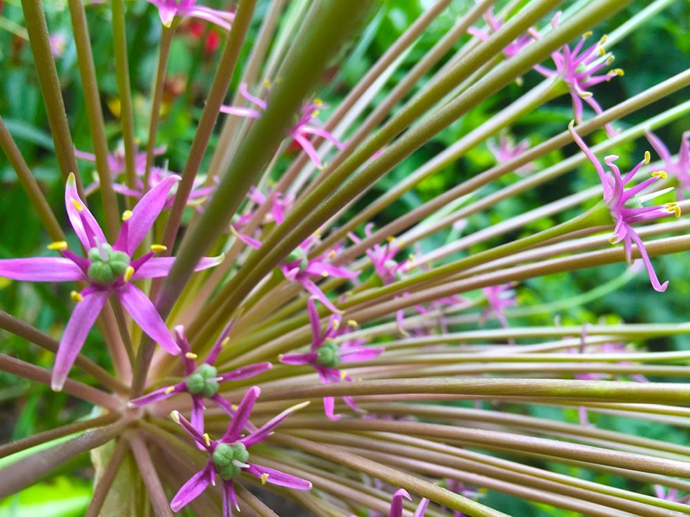 Spines I art print by Grayscale for $57.95 CAD