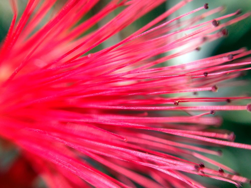 Spines II art print by Grayscale for $57.95 CAD