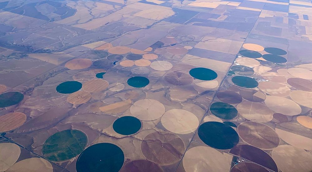 Crop Circles I art print by Grayscale for $57.95 CAD