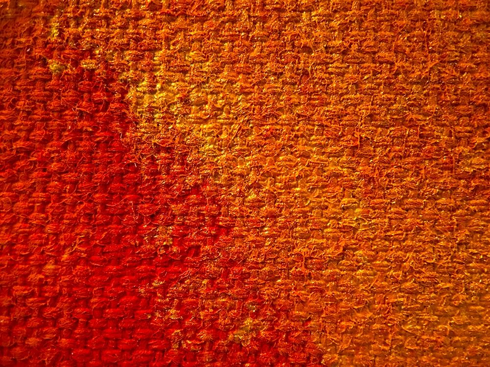 Canvas Closeup II art print by Grayscale for $57.95 CAD