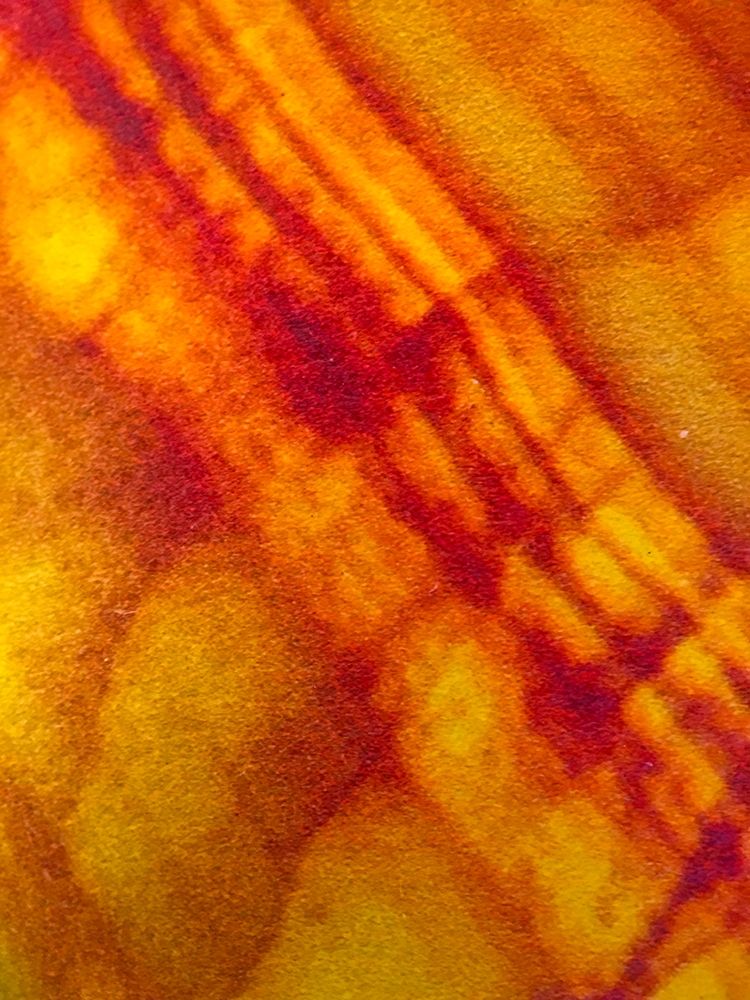 Canvas Closeup VI art print by Grayscale for $57.95 CAD