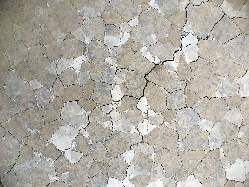 Parched Earth I art print by Grayscale for $57.95 CAD