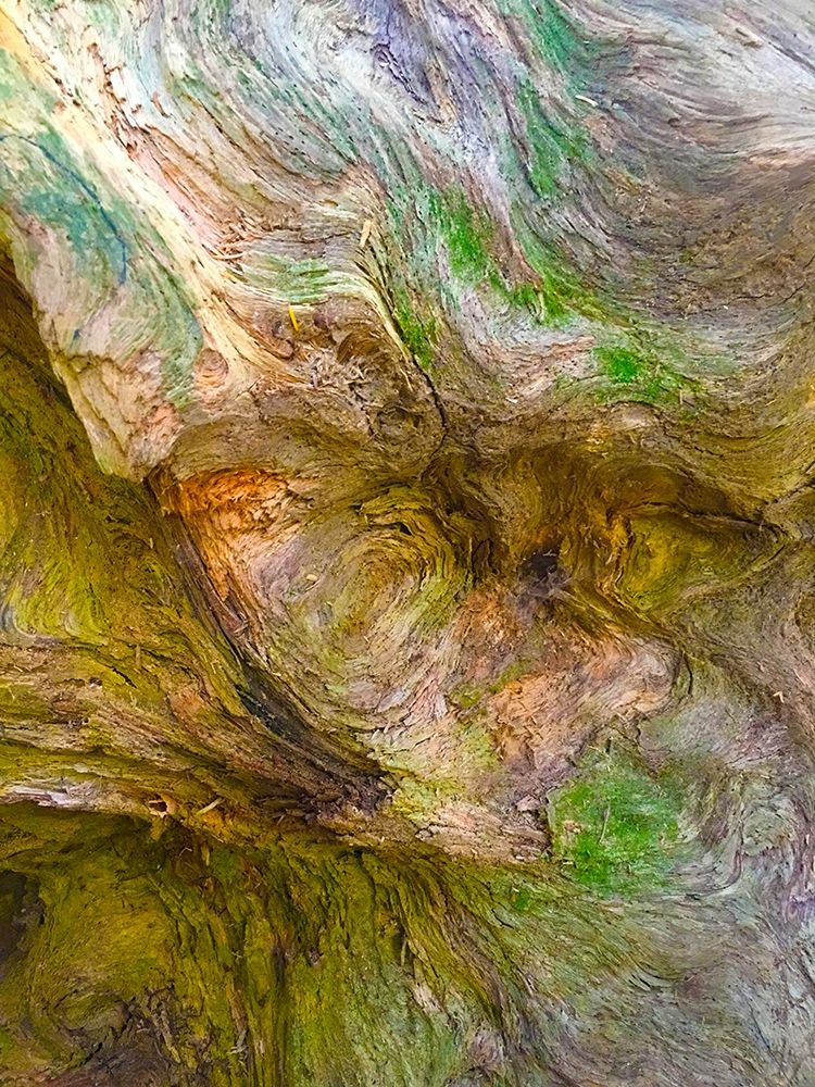 Bark Lava II art print by Grayscale for $57.95 CAD