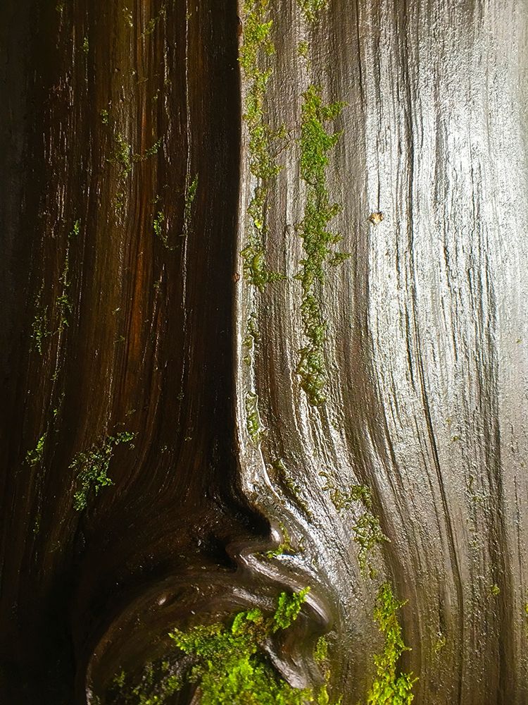 Bark and Moss IV art print by Grayscale for $57.95 CAD