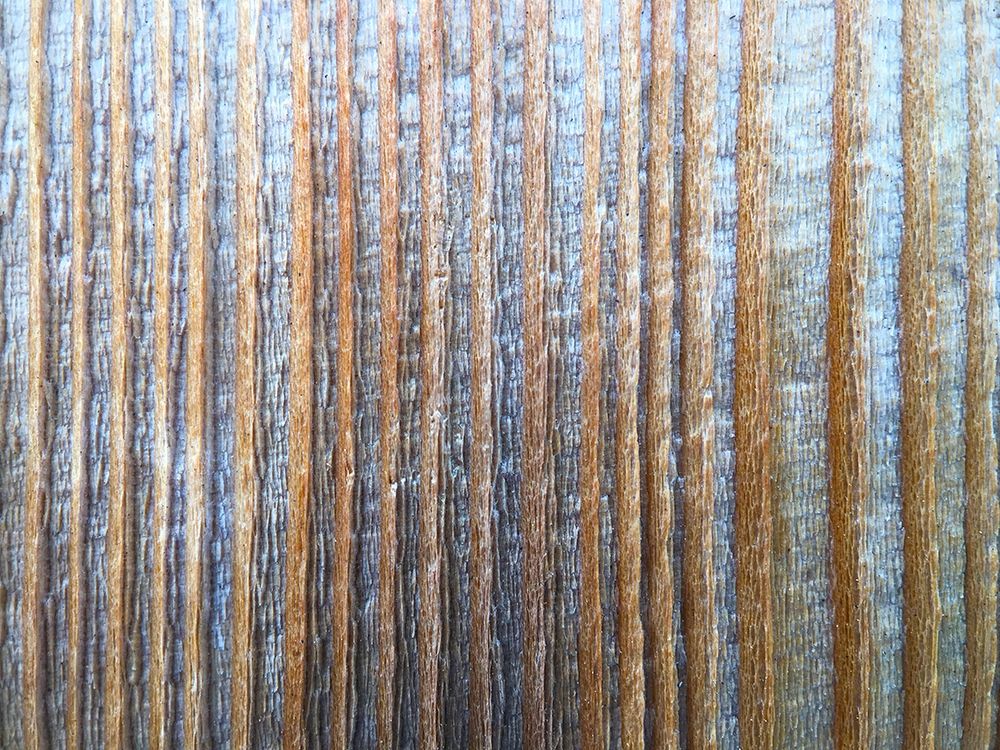 Bark Stripes I art print by Grayscale for $57.95 CAD