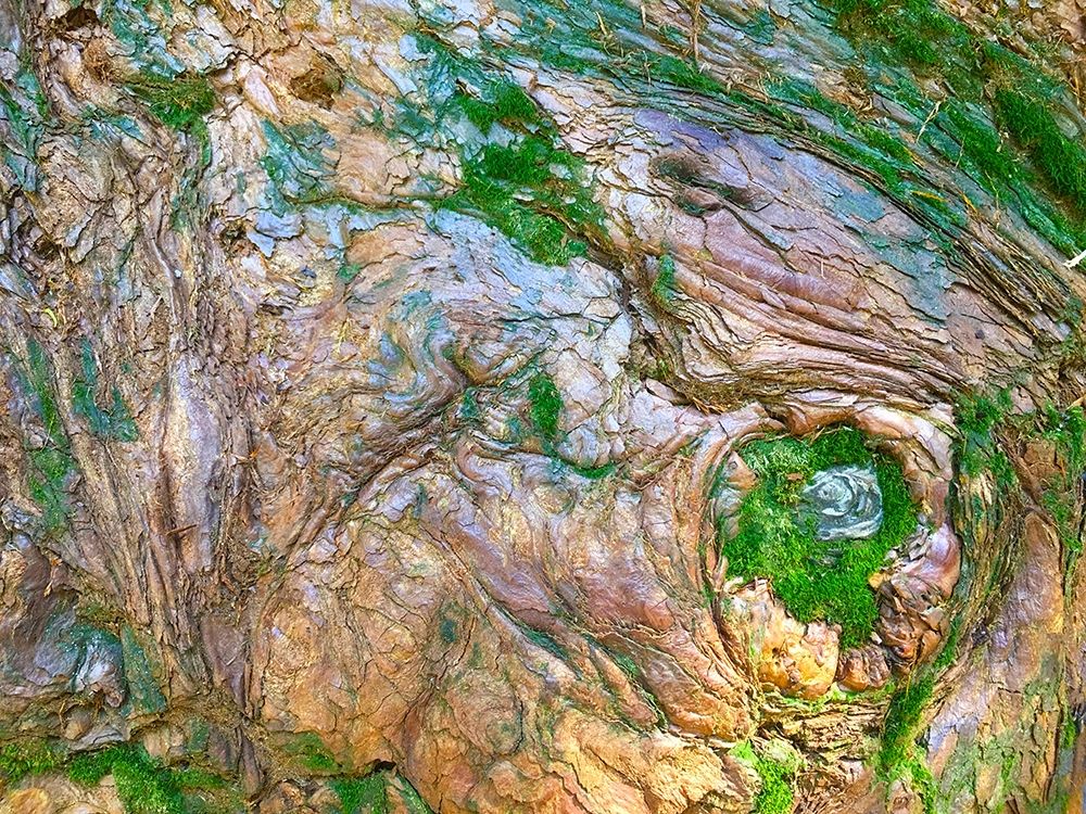 Wood Texture V art print by Grayscale for $57.95 CAD
