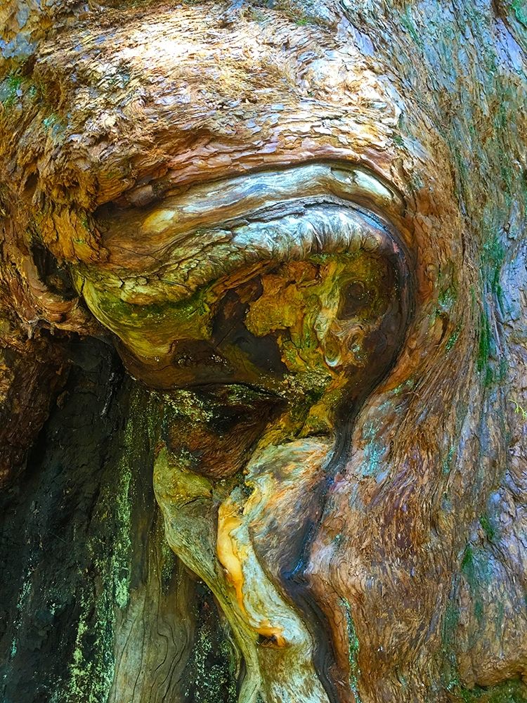 Wood Texture VI art print by Grayscale for $57.95 CAD