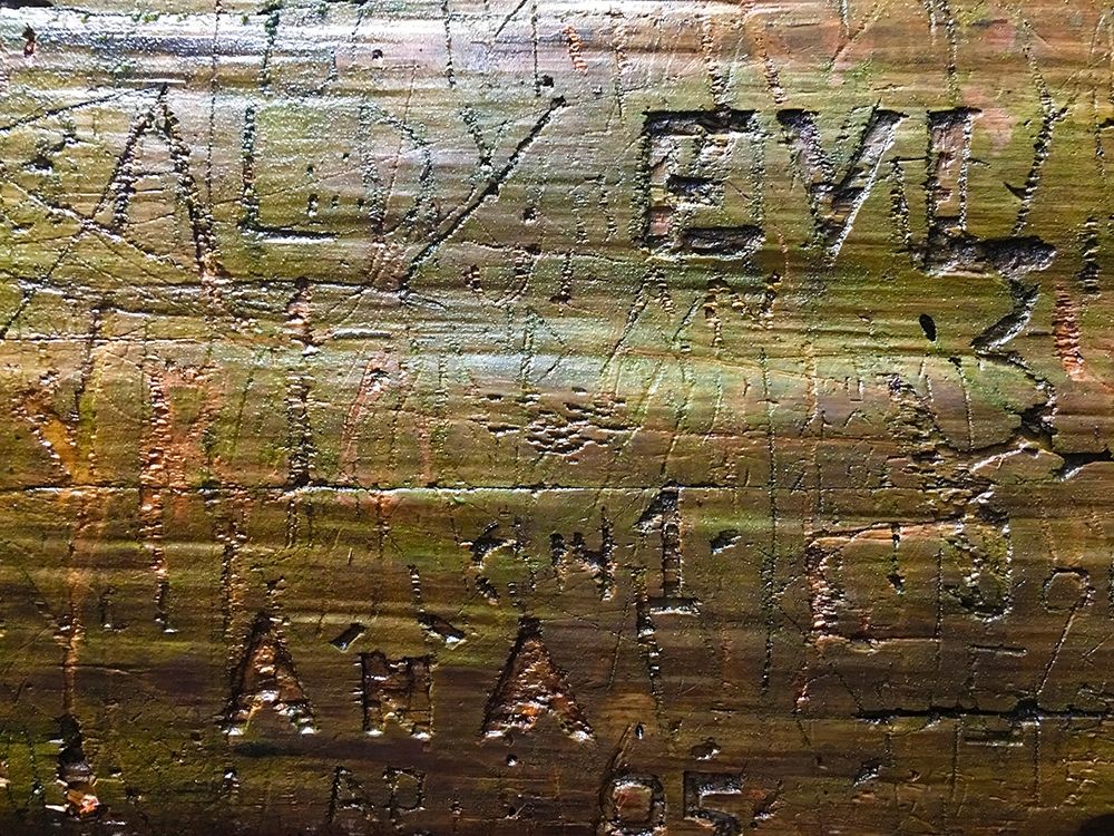 Wood Texture VII art print by Grayscale for $57.95 CAD