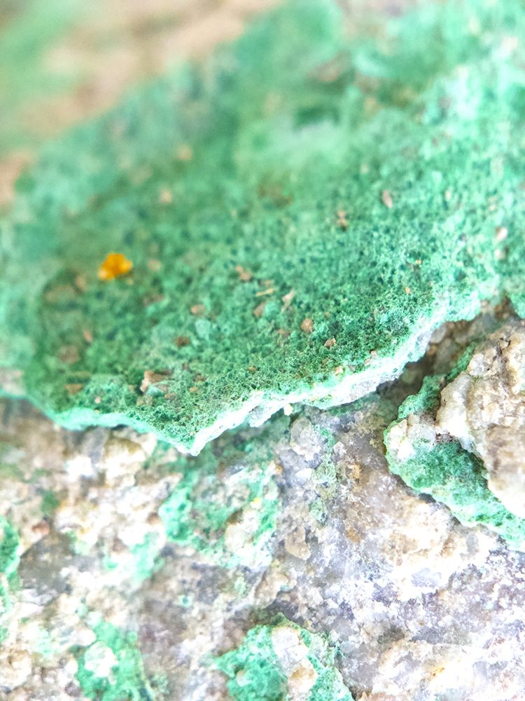 Turquoise Aggregate IV art print by Grayscale for $57.95 CAD