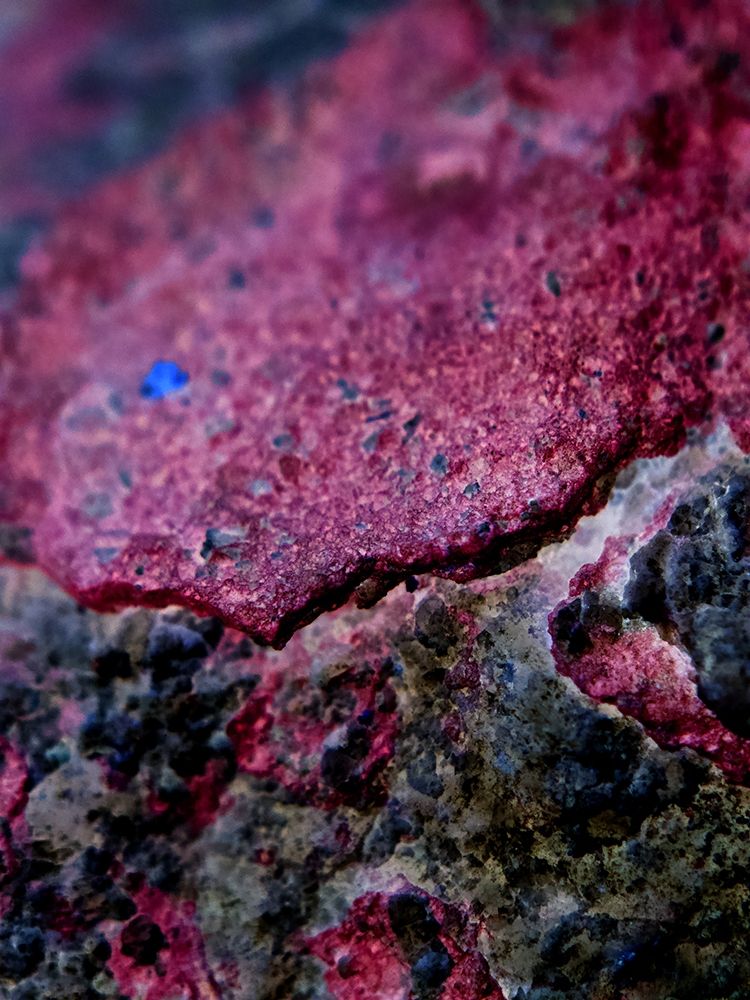 Red Aggregate I art print by Grayscale for $57.95 CAD