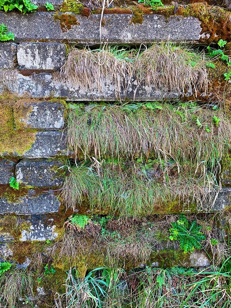 Wall Garden I art print by Grayscale for $57.95 CAD