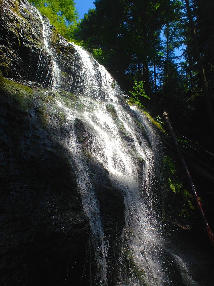 Waterfall Light I art print by Grayscale for $57.95 CAD