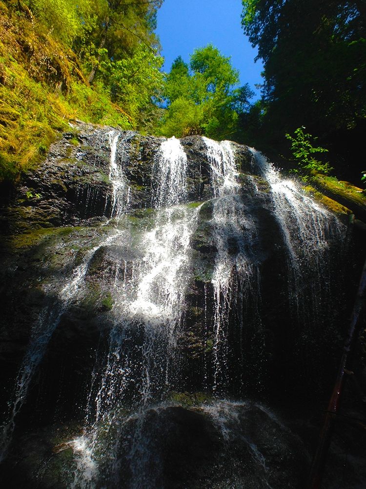 Waterfall Light II art print by Grayscale for $57.95 CAD