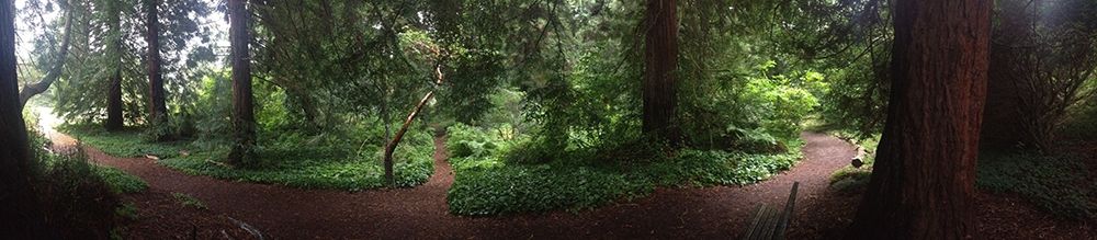 Botanical Garden I art print by Grayscale for $57.95 CAD