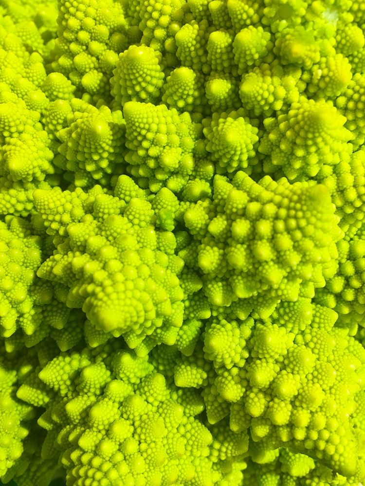 Natural Fractals III art print by Grayscale for $57.95 CAD