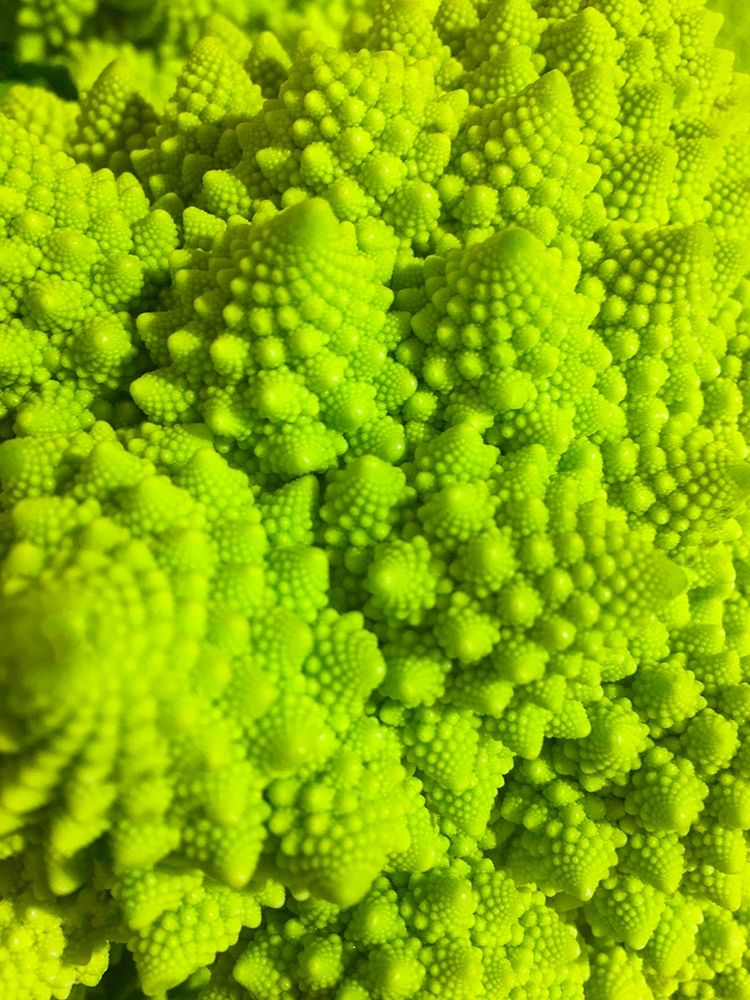 Natural Fractals IV art print by Grayscale for $57.95 CAD