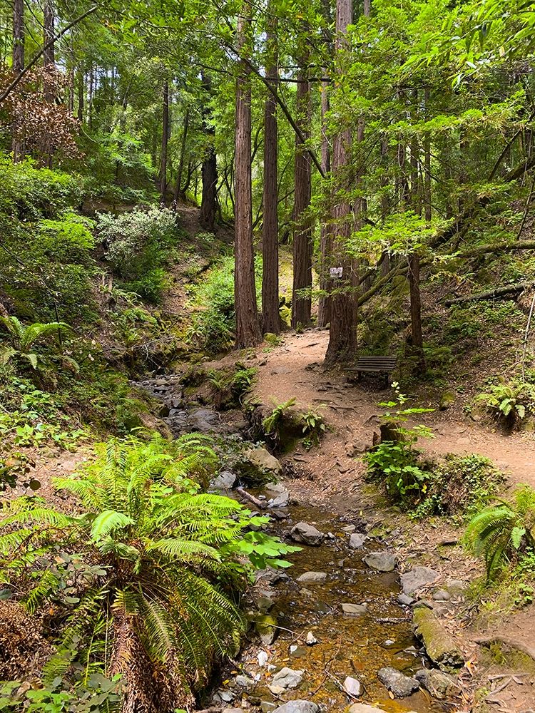 Creekside I art print by Grayscale for $57.95 CAD