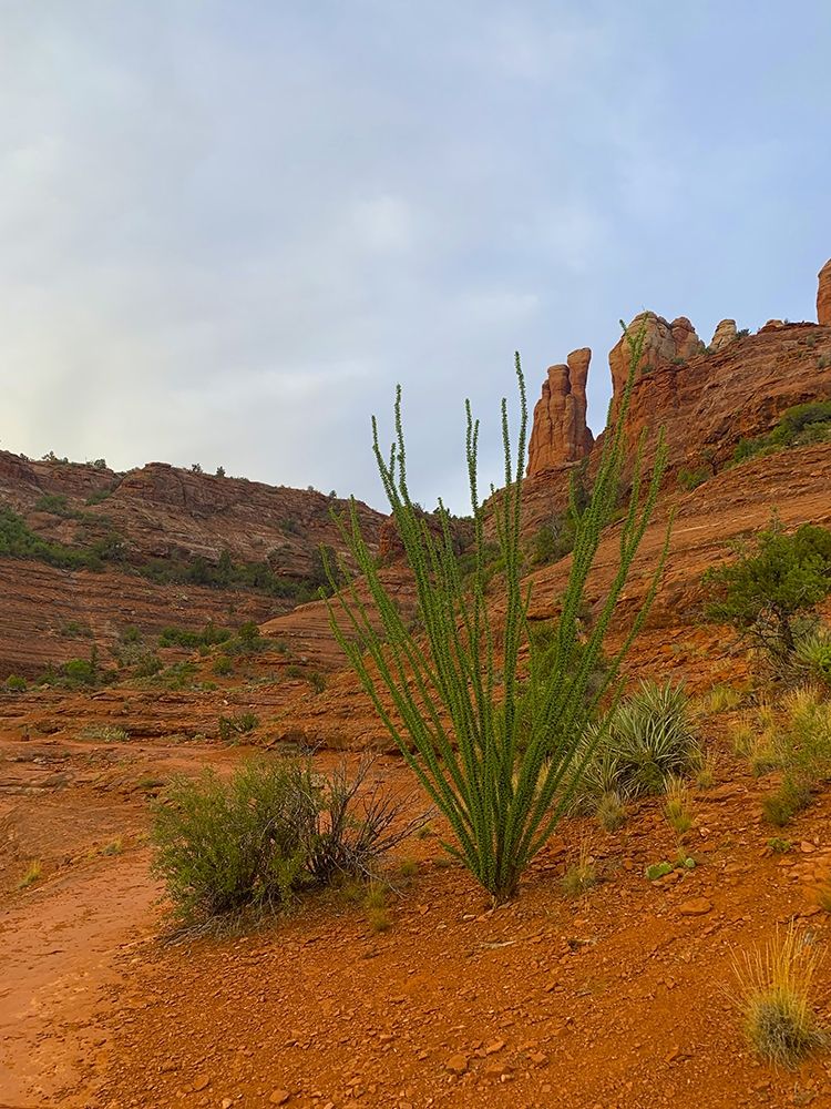 Sedona I art print by Grayscale for $57.95 CAD