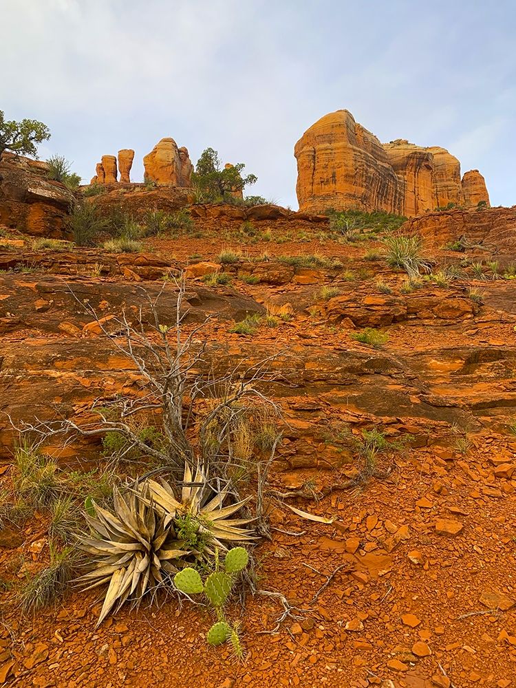 Sedona II art print by Grayscale for $57.95 CAD
