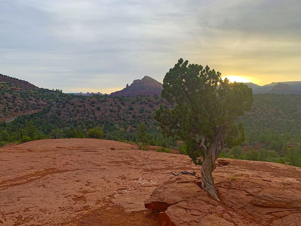Sedona IV art print by Grayscale for $57.95 CAD