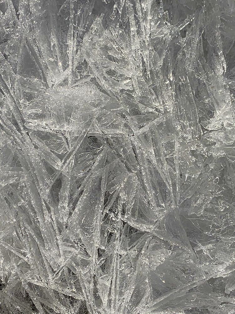 Ice I art print by Grayscale for $57.95 CAD