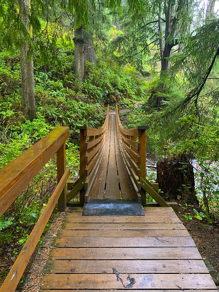 Forest Bridge IV art print by Grayscale for $57.95 CAD