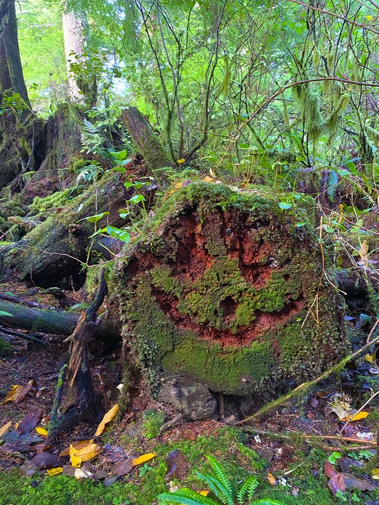 Forest Happy Face II art print by Grayscale for $57.95 CAD