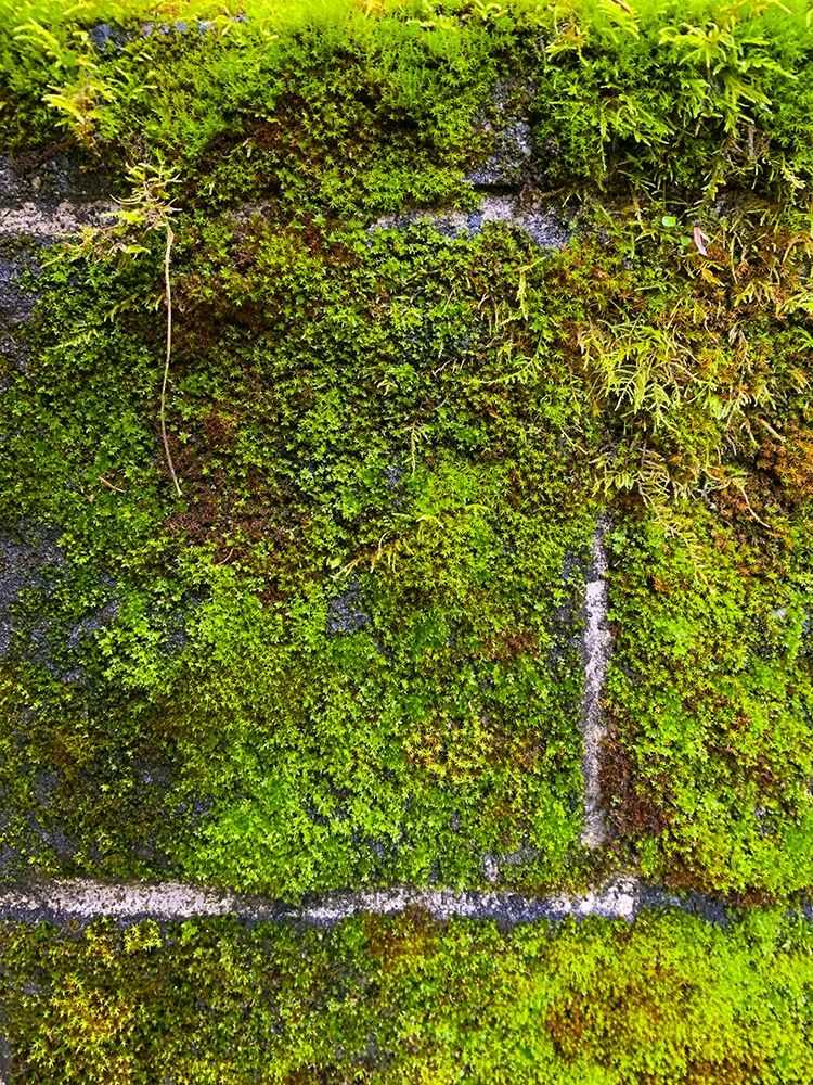 Stone Wall I art print by Grayscale for $57.95 CAD