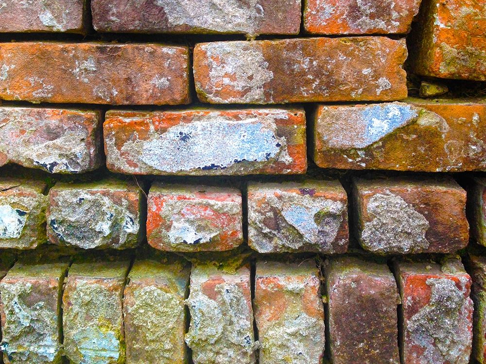 Brick Wall I art print by Grayscale for $57.95 CAD