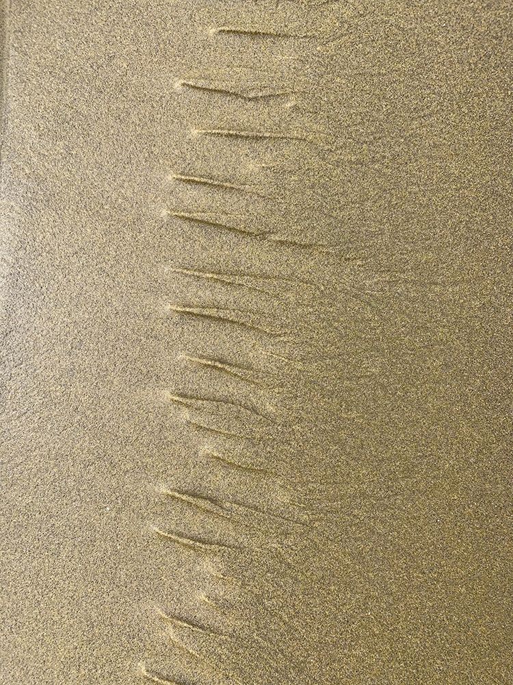 Sand Stripe III art print by Grayscale for $57.95 CAD