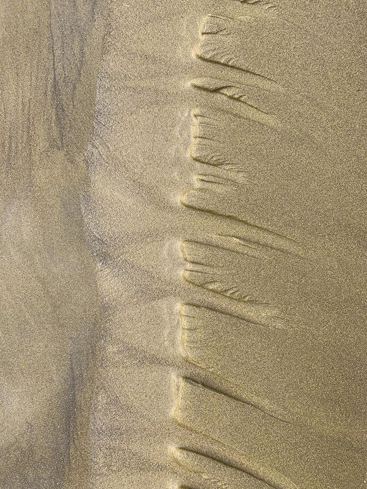 Sand Stripe IV art print by Grayscale for $57.95 CAD