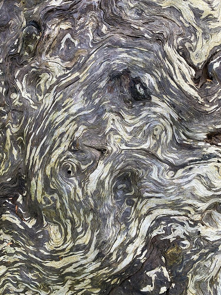 The Scream II art print by Grayscale for $57.95 CAD