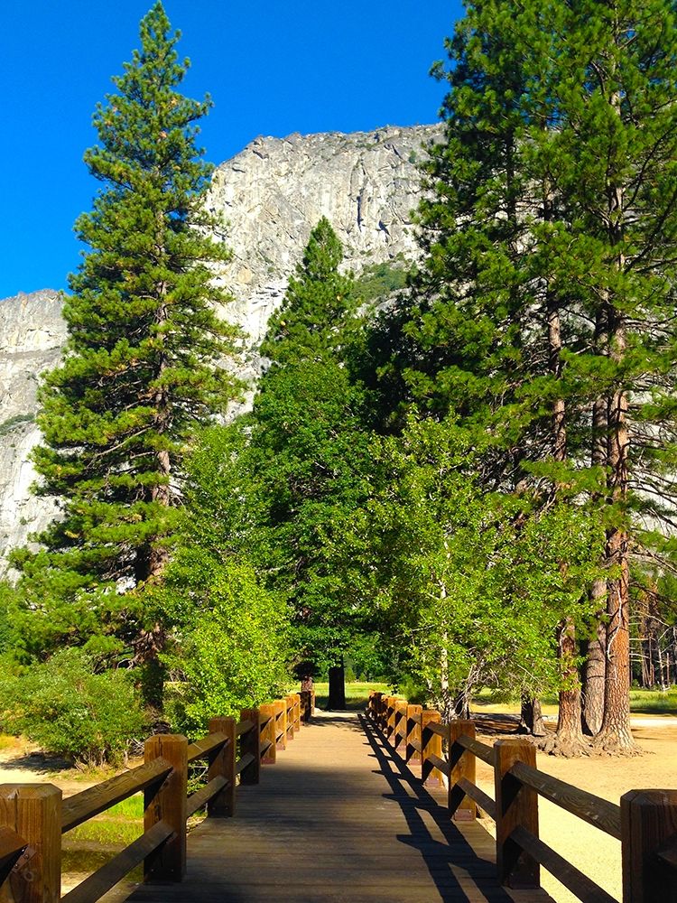 Yosemite Bridge I art print by Grayscale for $57.95 CAD