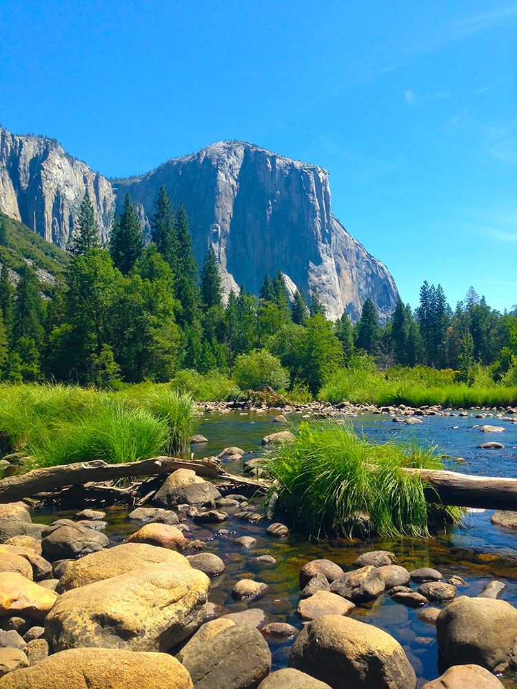 El Capitan II art print by Grayscale for $57.95 CAD