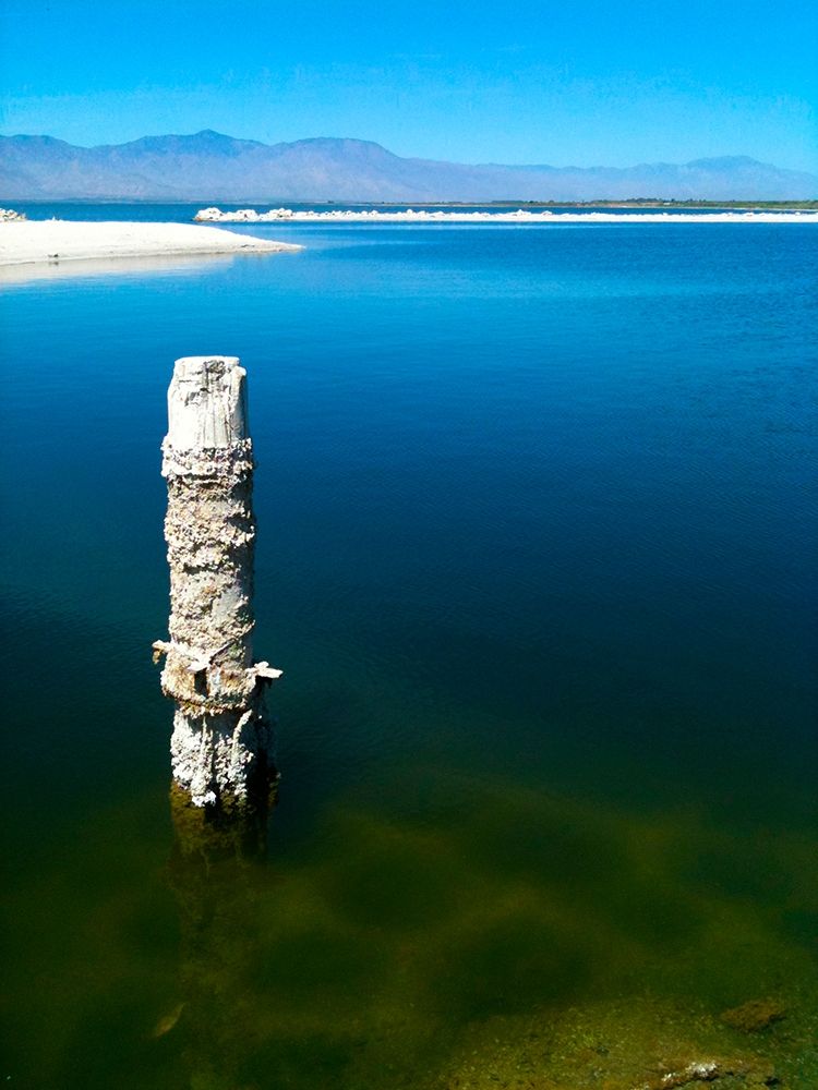 Salton Sea I art print by Grayscale for $57.95 CAD