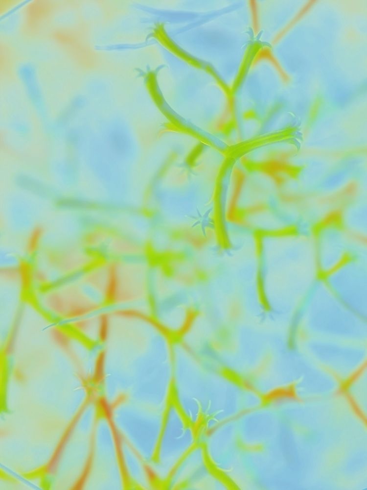 Confetti I art print by William Tenoever for $57.95 CAD