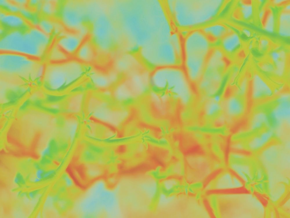 Confetti II art print by William Tenoever for $57.95 CAD