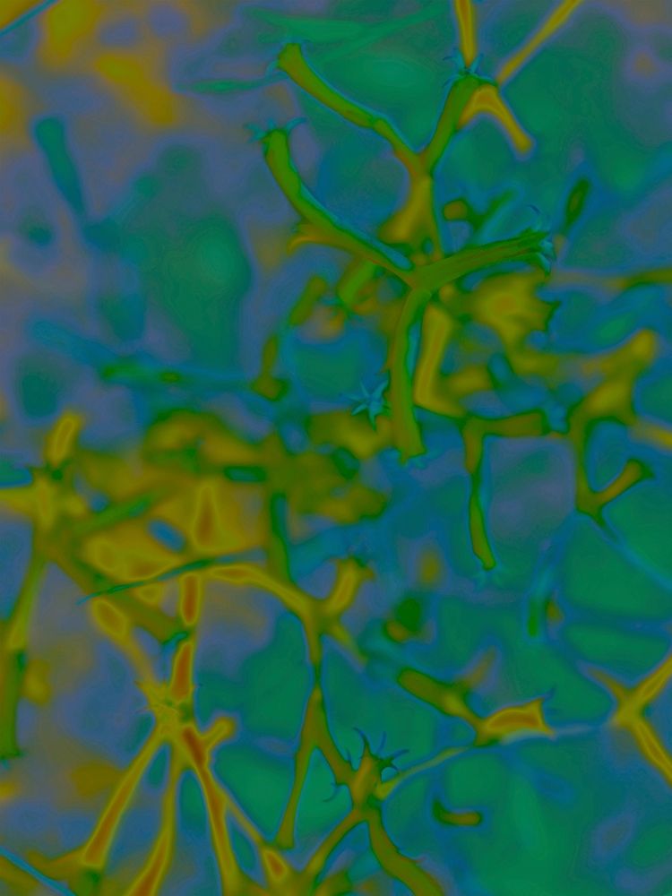Confetti IV art print by William Tenoever for $57.95 CAD