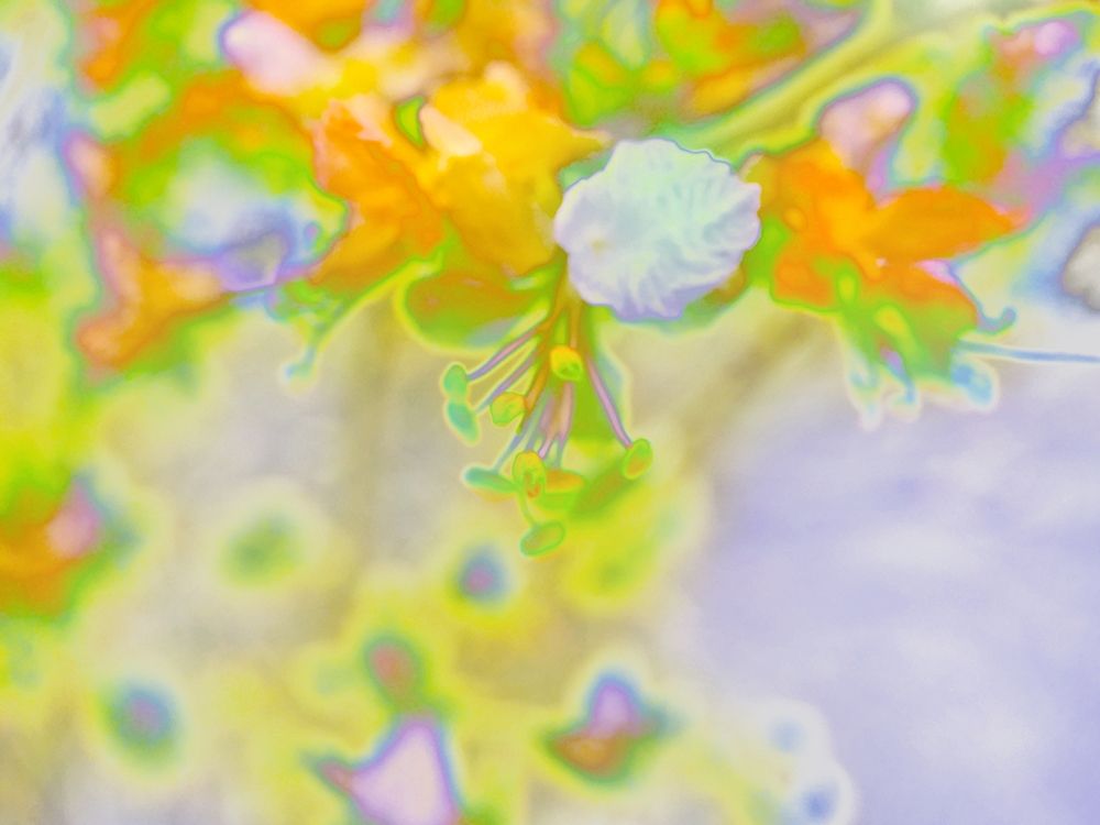 Color Blast IV art print by William Tenoever for $57.95 CAD
