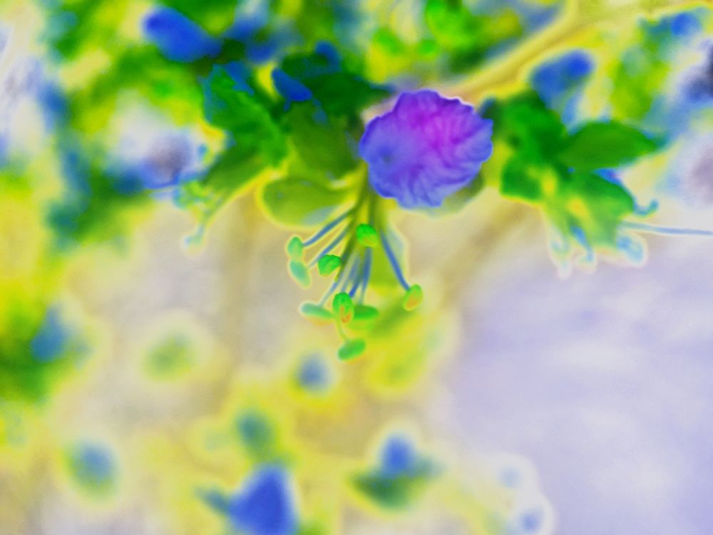 Color Blast VI art print by William Tenoever for $57.95 CAD