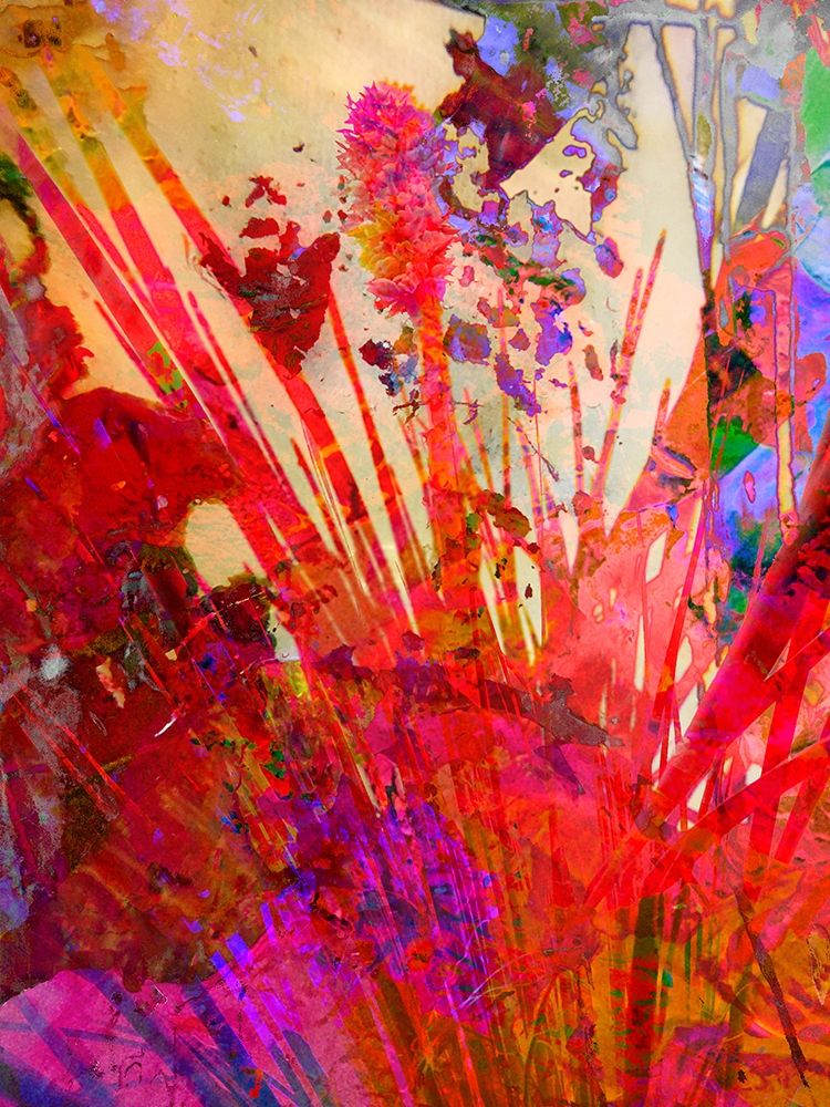 Color Blast X art print by William Tenoever for $57.95 CAD