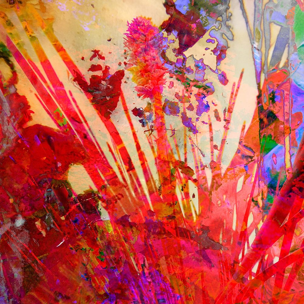 Color Blast X art print by William Tenoever for $57.95 CAD
