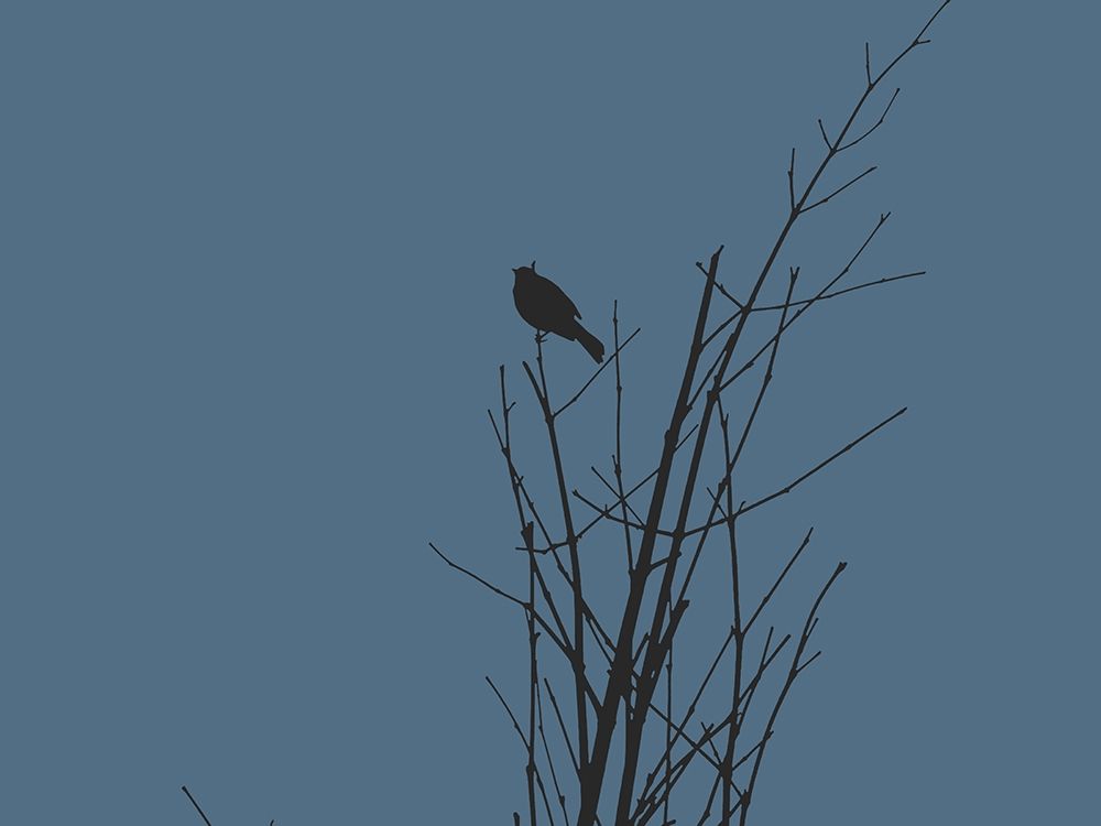 Bird Silhouette: Black/Blue art print by William Tenoever for $57.95 CAD