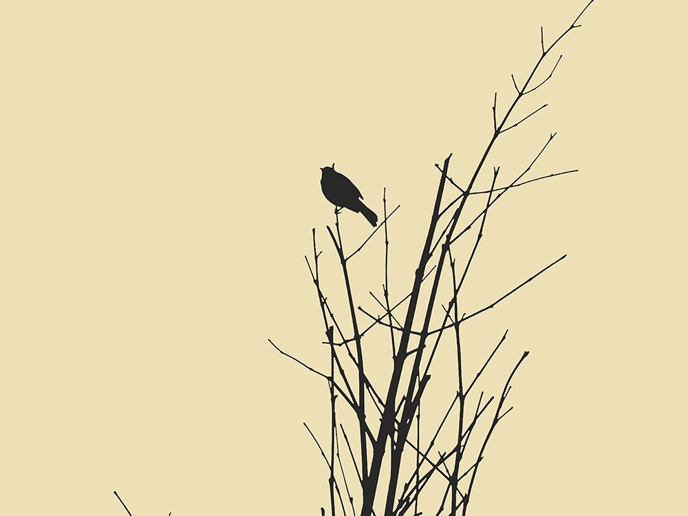 Bird Silhouette: Black/Ivory art print by William Tenoever for $57.95 CAD