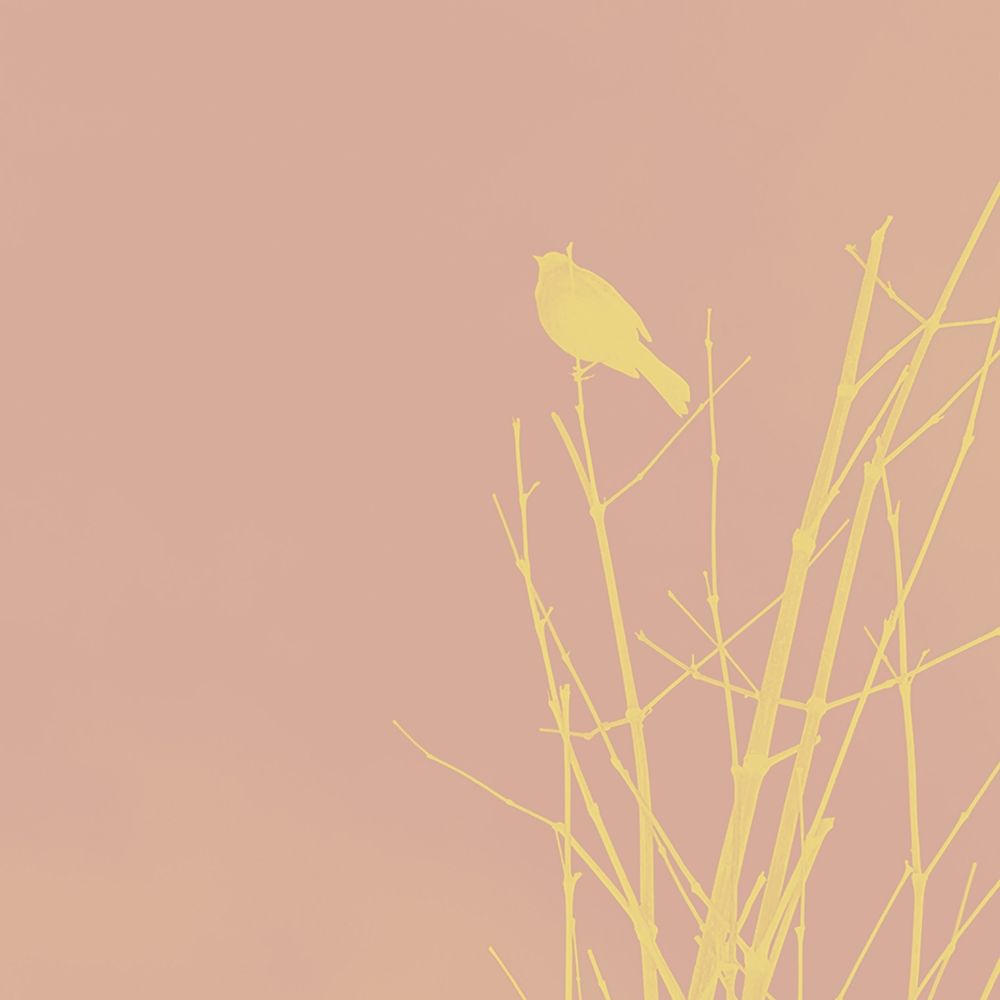 Bird Silhouette IX art print by William Tenoever for $57.95 CAD