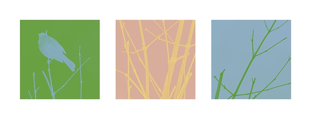 Bird Silhouette X art print by William Tenoever for $57.95 CAD
