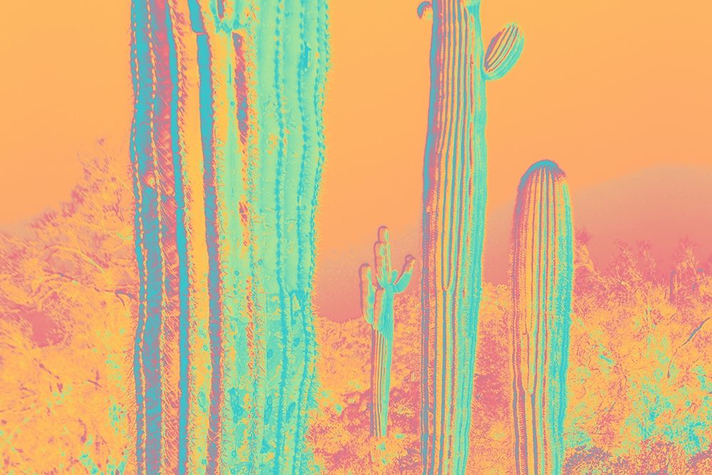 Color Blast XIII art print by William Tenoever for $57.95 CAD