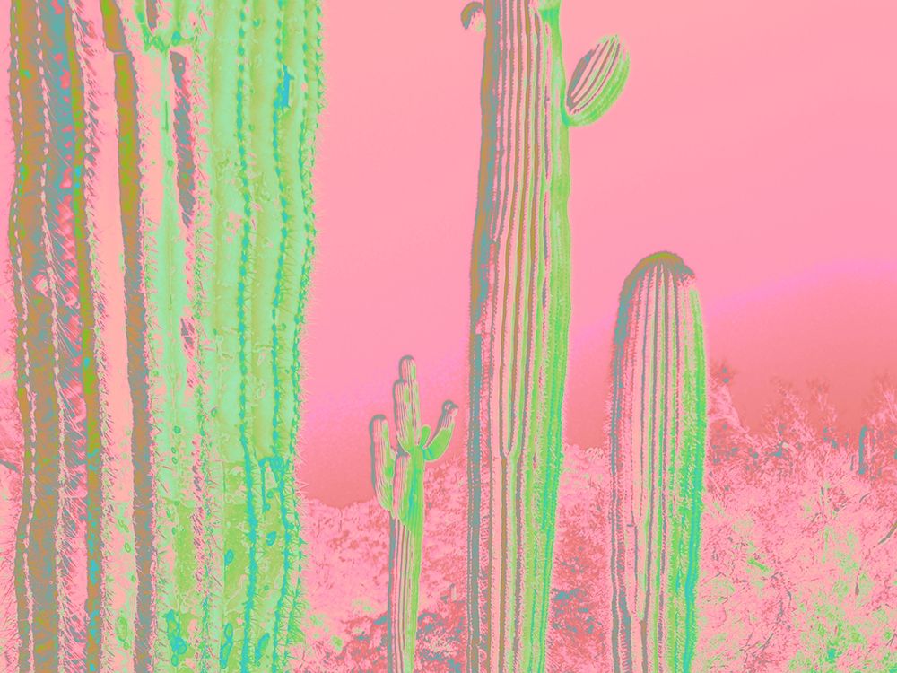Color Blast XV art print by William Tenoever for $57.95 CAD