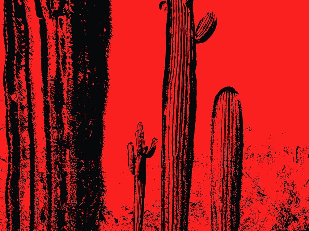 Desert Silhouette I art print by William Tenoever for $57.95 CAD