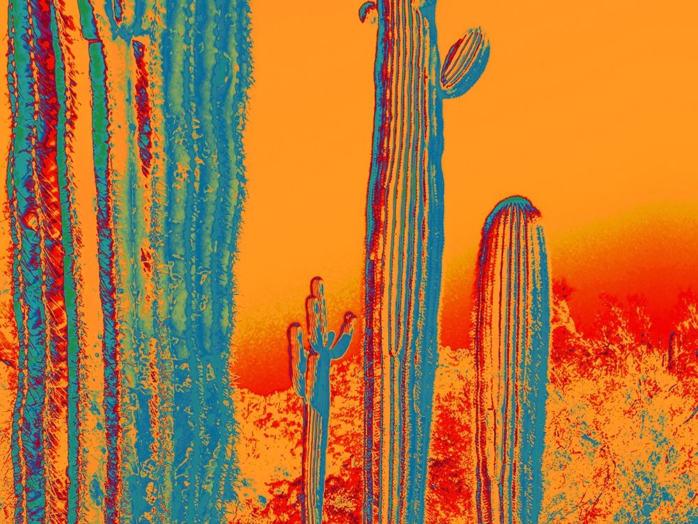 Color Blast XVII art print by William Tenoever for $57.95 CAD